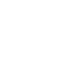Aetna PPO