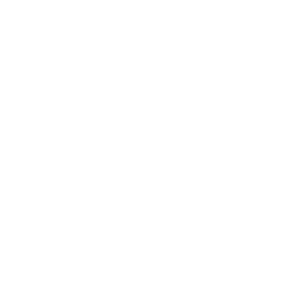 Guardian PPO