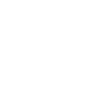 Metlife PPO